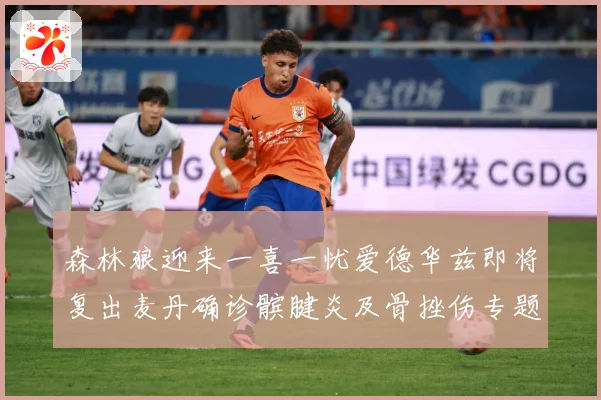 森林狼迎来一喜一忧爱德华兹即将复出麦丹确诊髌腱炎及骨挫伤专题观察