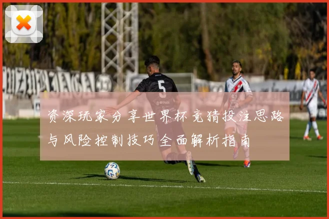 资深玩家分享世界杯竞猜投注思路与风险控制技巧全面解析指南